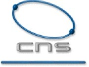 logo de CNS Network